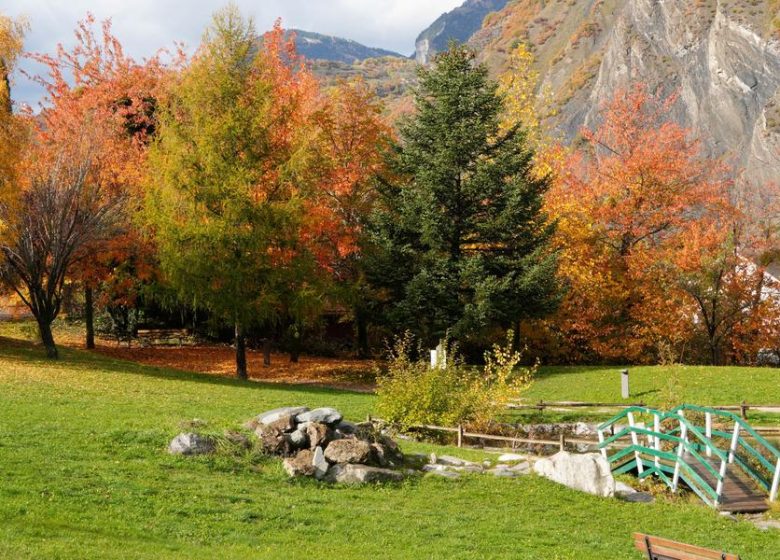 Exposition – 20ème anniversaire Photo Passion