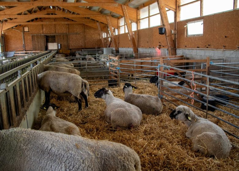 La Bergerie des Têtes noires