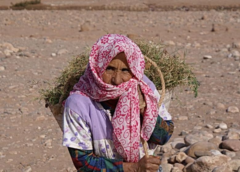 Exposition – Visages du monde