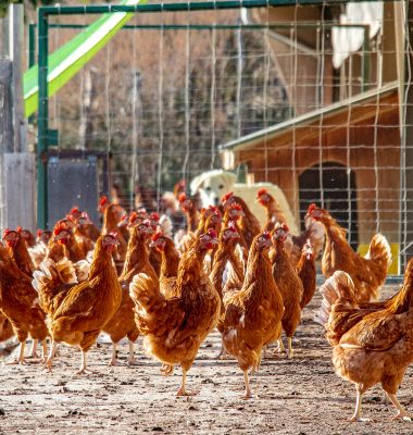 Envie de découvrir plus de produits ?