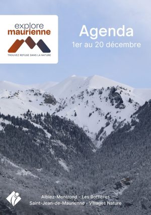 Agenda du 1er au 20 décembre