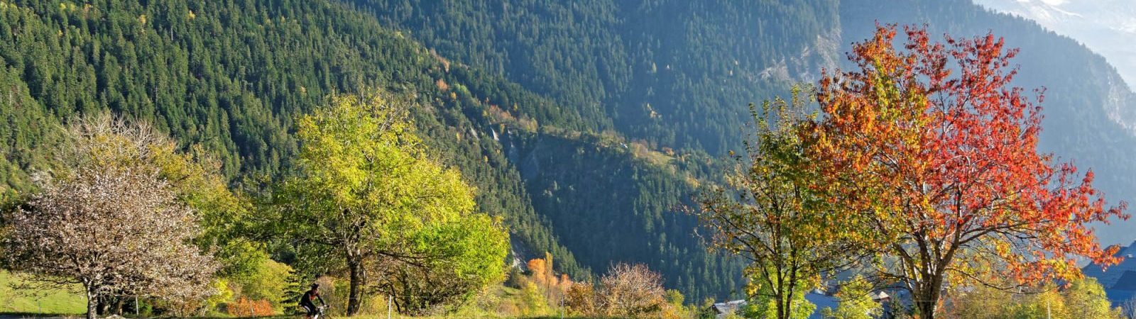 Montée cyclo du Col du Chaussy