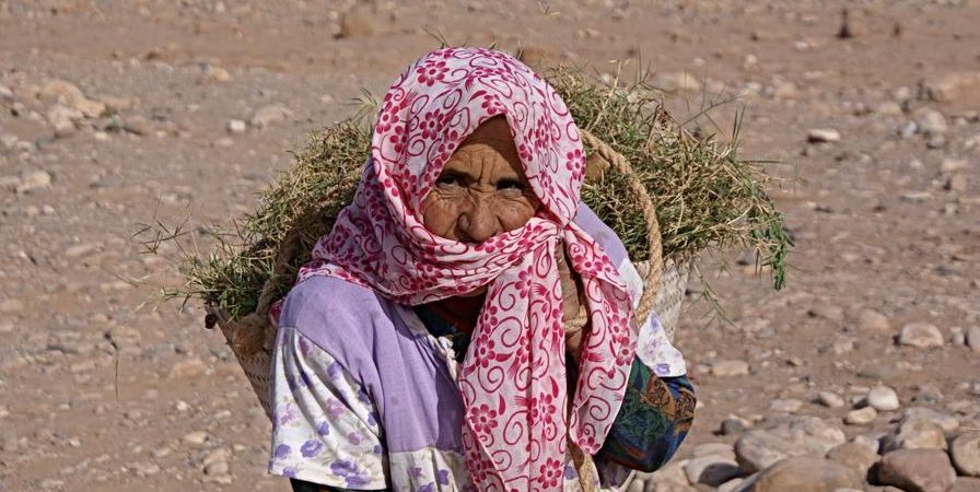 Exposition – Visages du monde