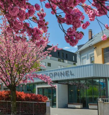 Activités culturelles