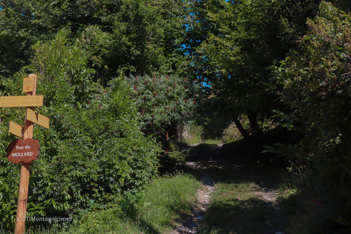 Randonnée à montvernier