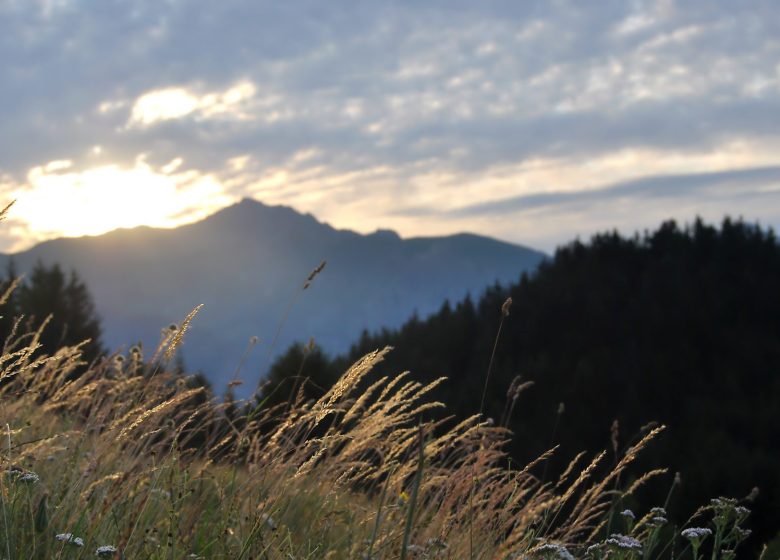 Sentier botanique du Sapey