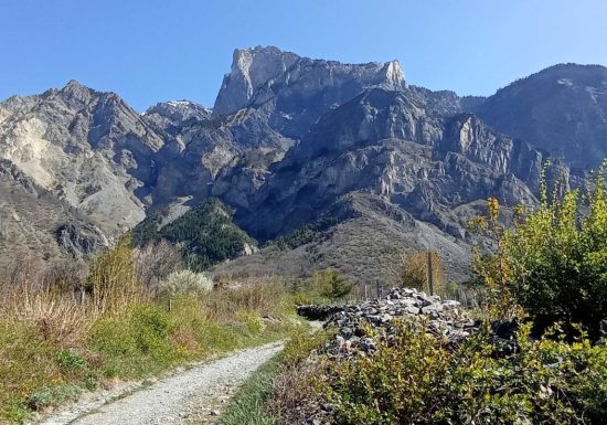 Le Terroir de Serpolière