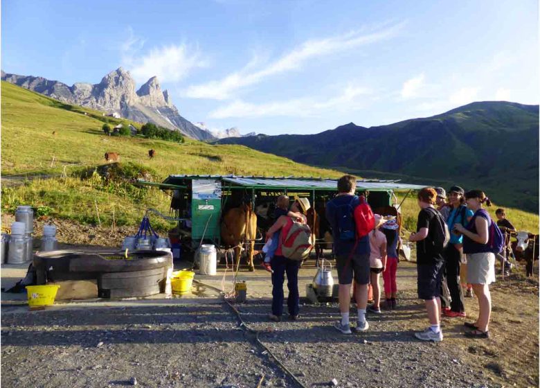 Route des Fromages de Savoie, petite balade gourmande en alpage