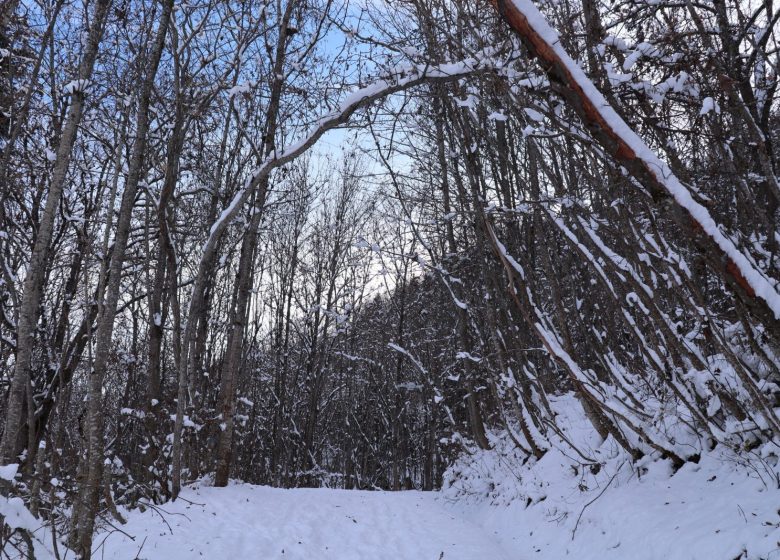 Le sentier du Haut