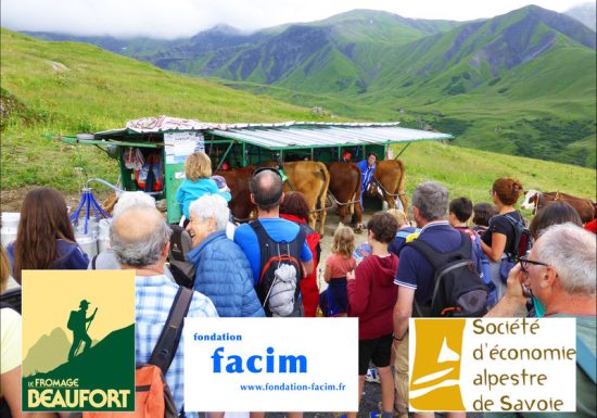 Traite des vaches en alpage, rando patrimoine