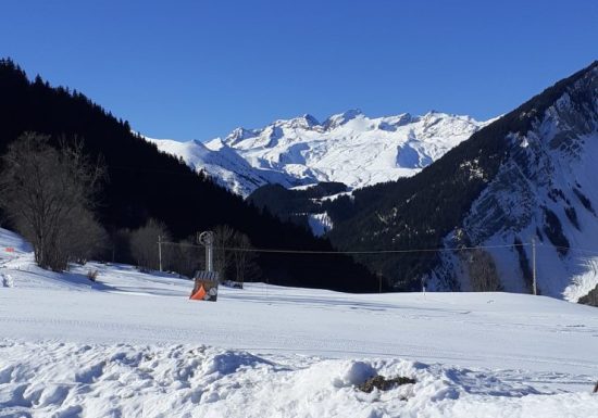 Champfleuri 2 – N°63