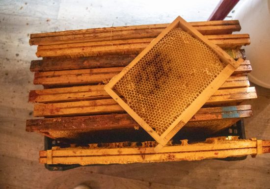 À la cime du rucher