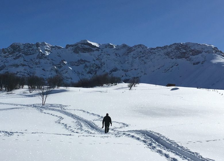 Plateau de Montrond