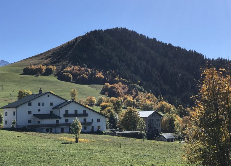 Forêt du Rival