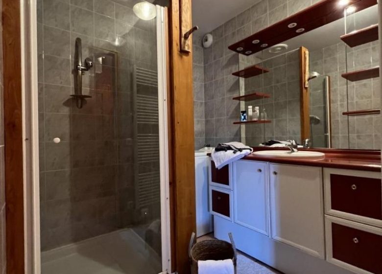 CHALET LE TERRIER – MAISON SAINFOIN