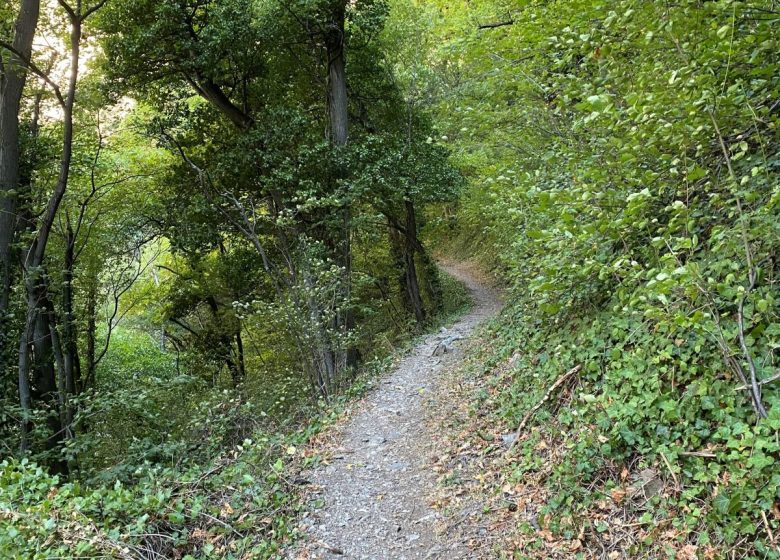 Les gorges de la Ravoire