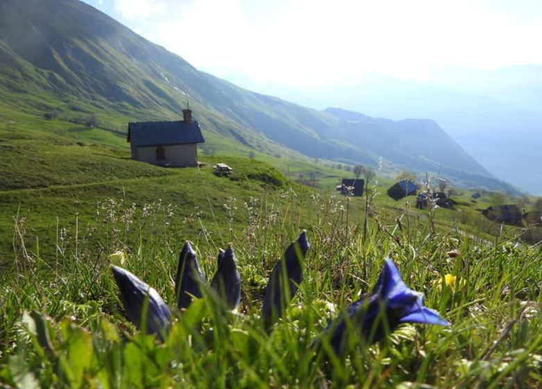 Chalet Namaste