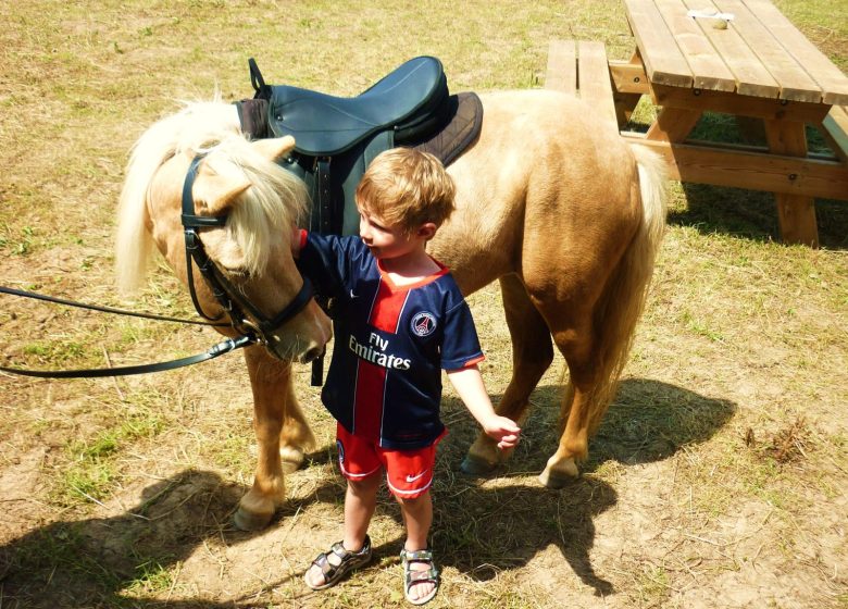 Baptême poney en main