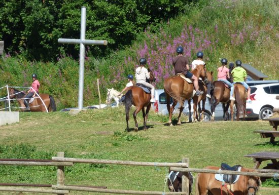 Baptême d’équitation poney en main