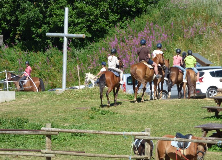 Baptême poney en main