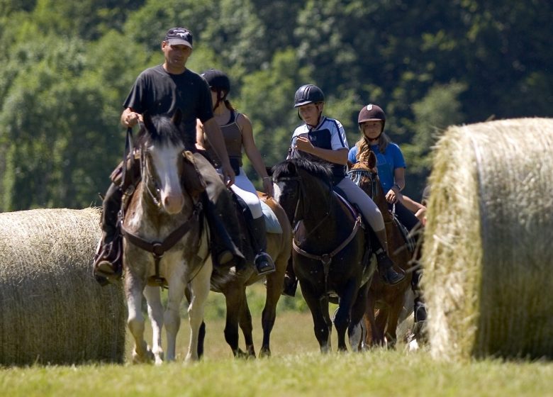Baptême d’équitation poney en main