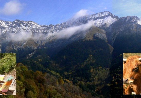 La Yourte d’Eglantine