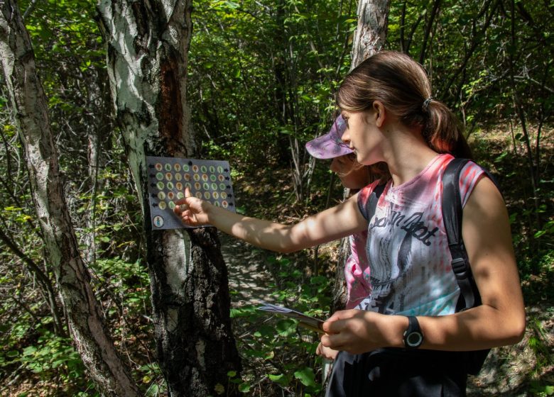 Sentier des ardoisiers – Les aventure de Beaunie