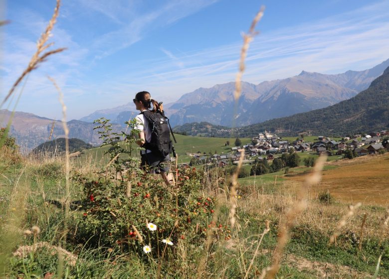 Tour du Châtel