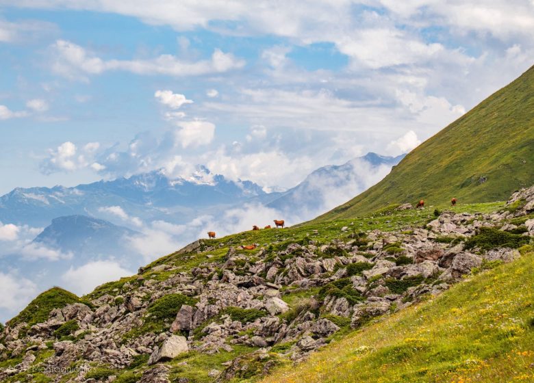 Col d’Emy