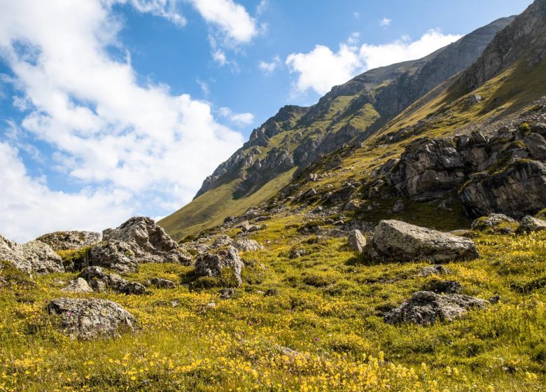 Col d’Emy