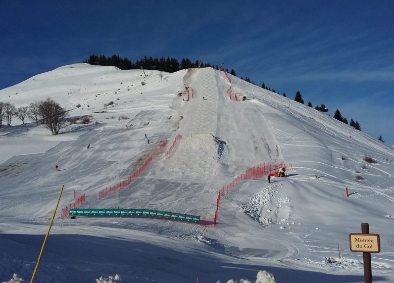 Skiset Col du Mollard