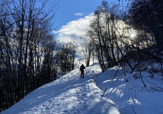 Le sentier du Haut