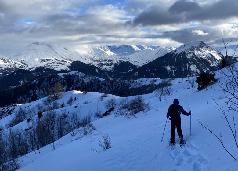 Le sentier du Haut