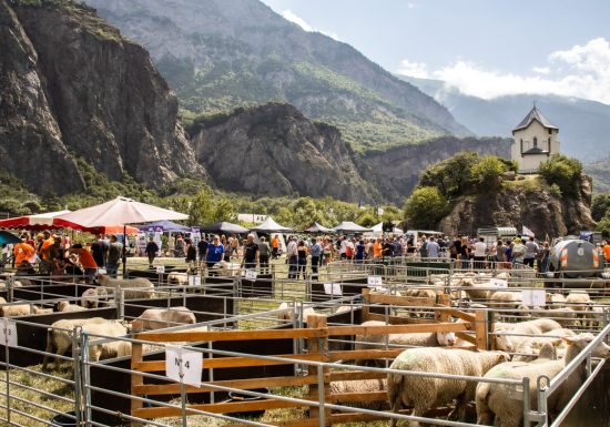 Fête de la brebis de Pontamafrey