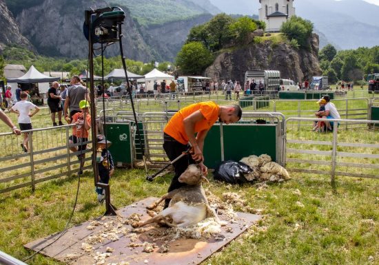 Fête de la brebis de Pontamafrey
