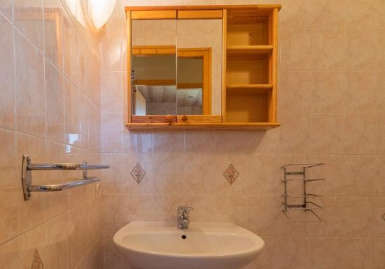 O’MIKELY – LE DINGO