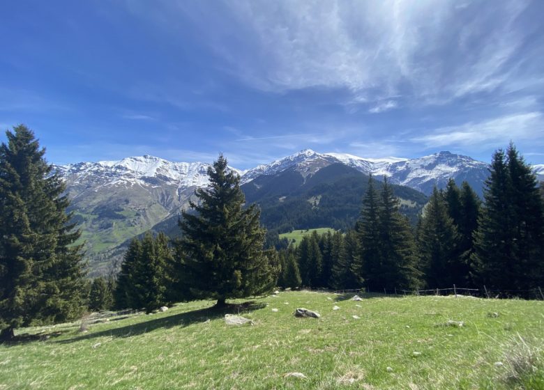 Tour de l’Armélaz