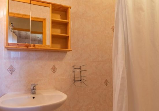 O’MIKELY – LE DINGO