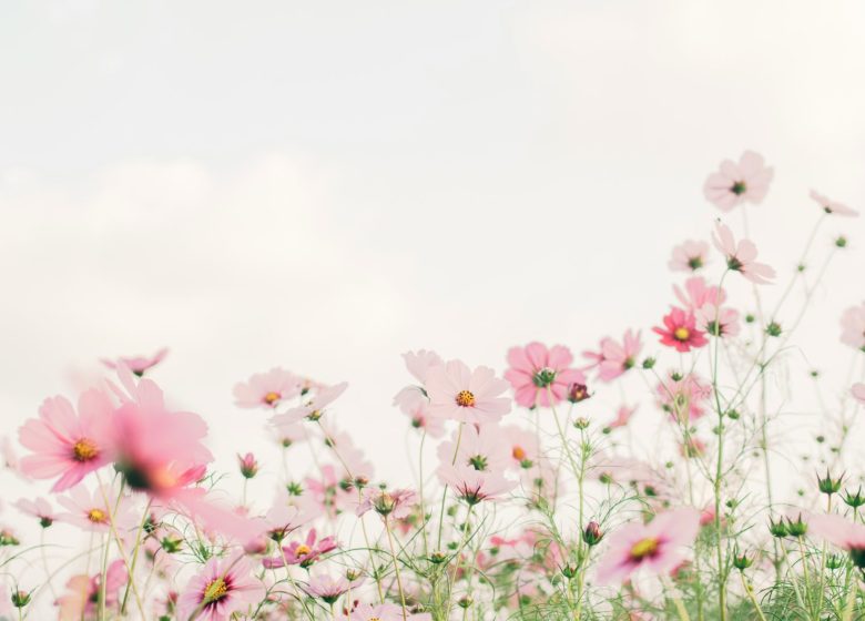 Fête du Printemps – 25ème édition