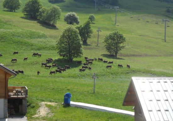 Relais des pistes – Apt 40