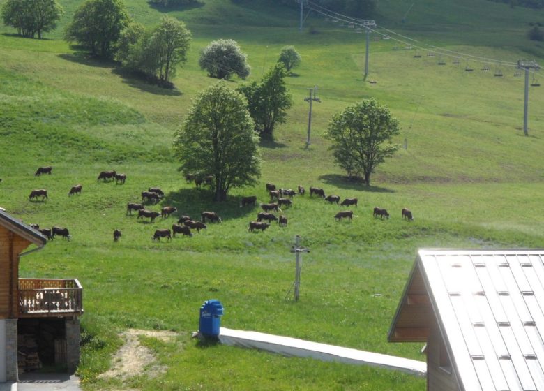 Relais des pistes – Apt 40