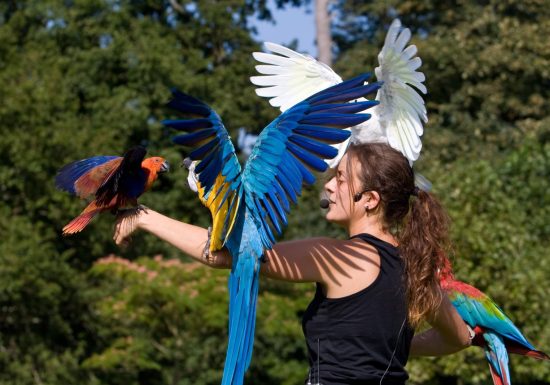 Excursion – Parc des oiseaux