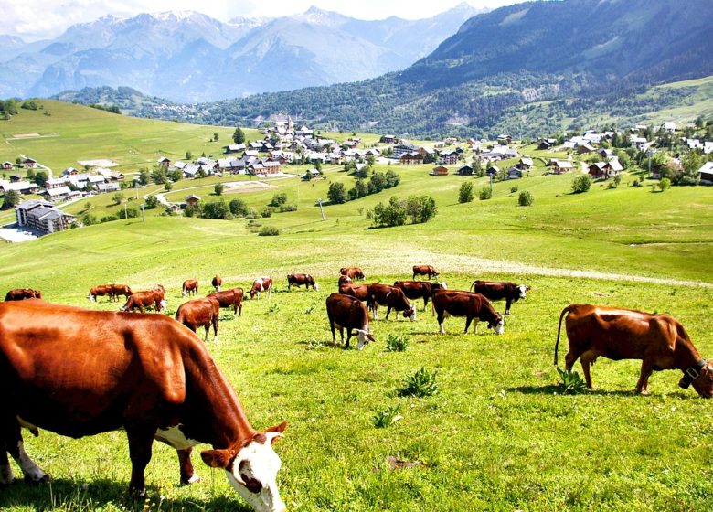 La Fête des fromages de Savoie
