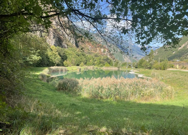 Balcon du rocher aux chamois