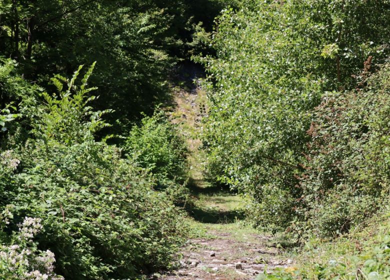 Balcon du rocher aux chamois