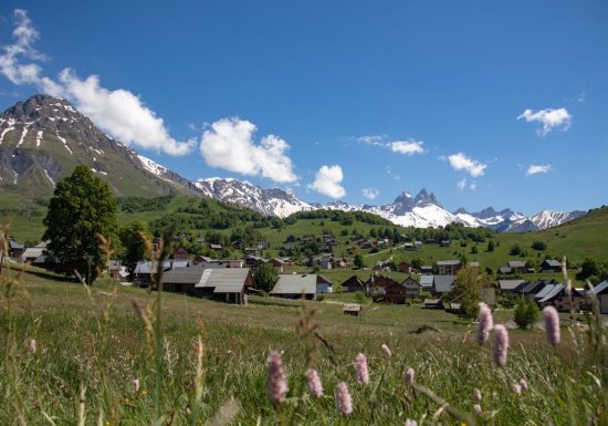 Les Chardons Bleus – N°1