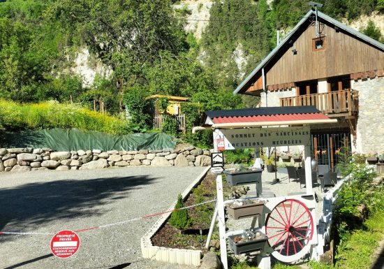 Au Sommet des Narcisses