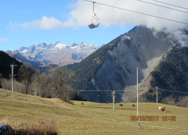 Champfleuri 2 – N°6