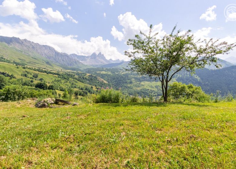 La scierie de la grande ourse – Le grand aigle