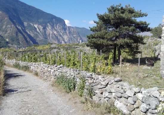 Le Terroir de Serpolière